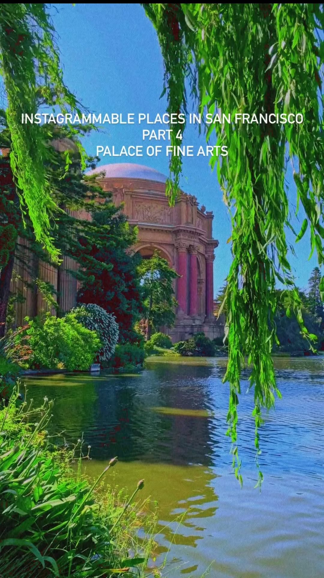 https://d2zmqyh8caa94h.cloudfront.net/creator_social_media_contents/instagram/reels/CudRmZ1turE/CudRmZ1turE.mp4