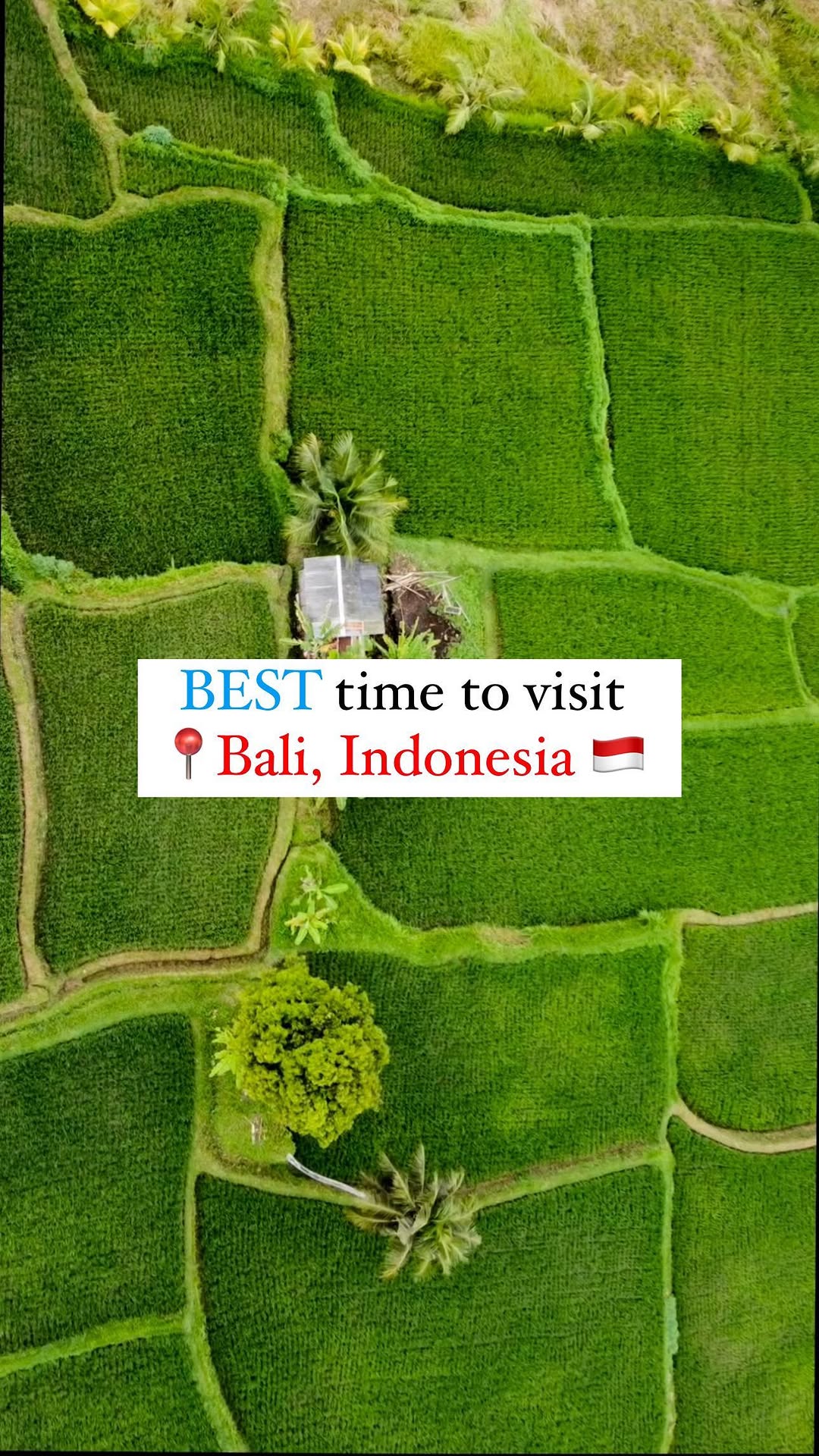 https://d2zmqyh8caa94h.cloudfront.net/creator_social_media_contents/instagram/reels/Cw3RXDFIivI/Cw3RXDFIivI.mp4