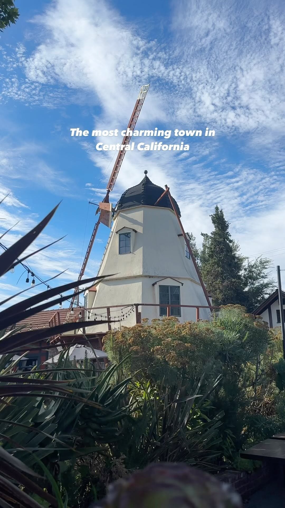 https://d2zmqyh8caa94h.cloudfront.net/creator_social_media_contents/instagram/reels/CwfelWbBehO/CwfelWbBehO.mp4
