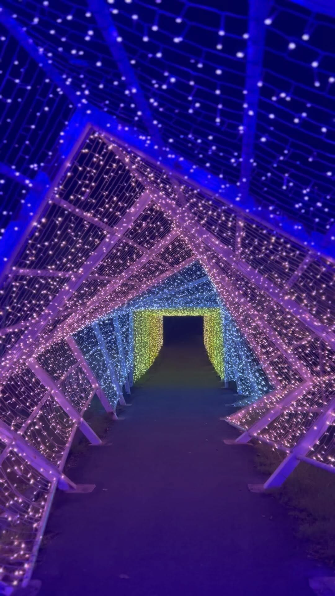 https://d2zmqyh8caa94h.cloudfront.net/creator_social_media_contents/instagram/reels/Cxw-P0JvzAG/Cxw-P0JvzAG.mp4
