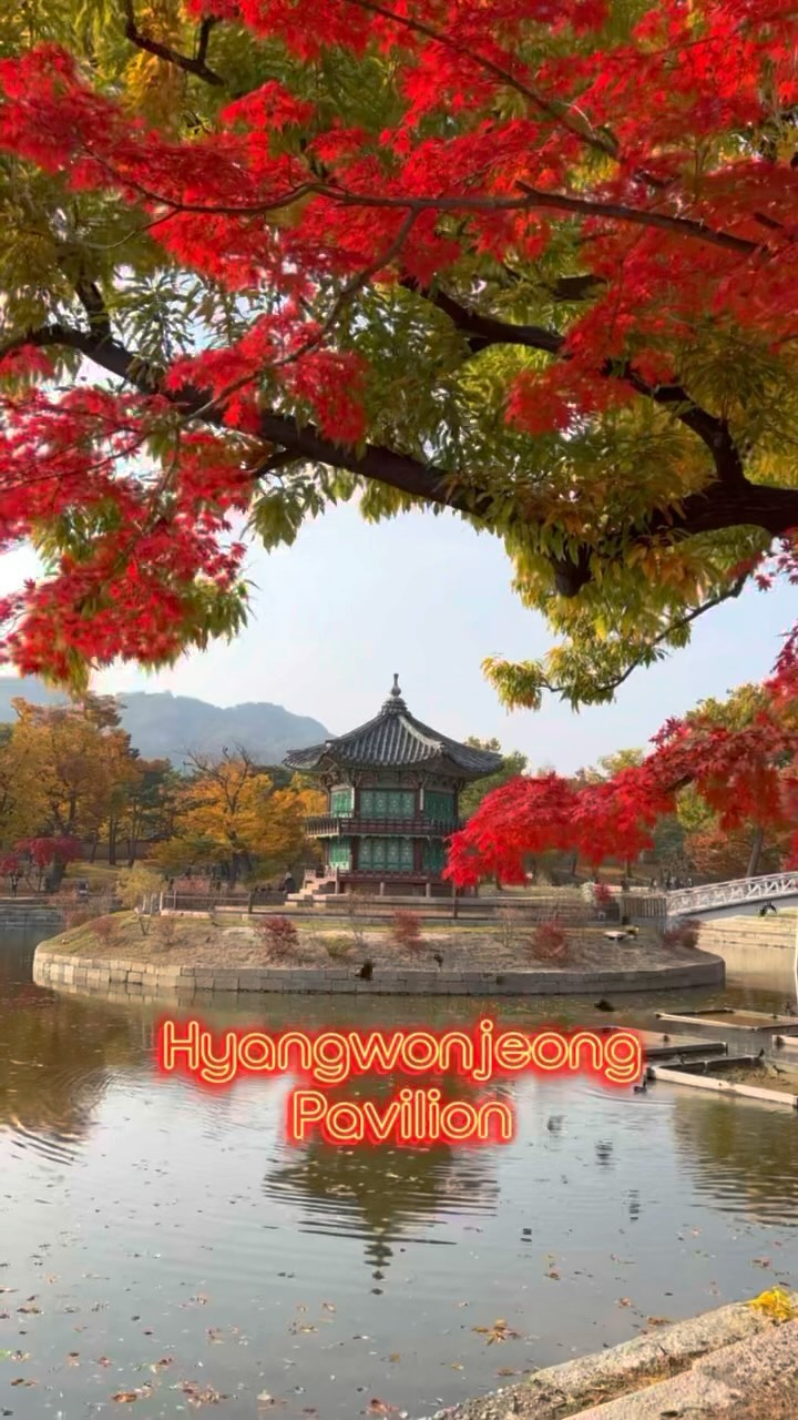 https://d2zmqyh8caa94h.cloudfront.net/creator_social_media_contents/instagram/reels/CxxR9P3Jlk0/CxxR9P3Jlk0.mp4