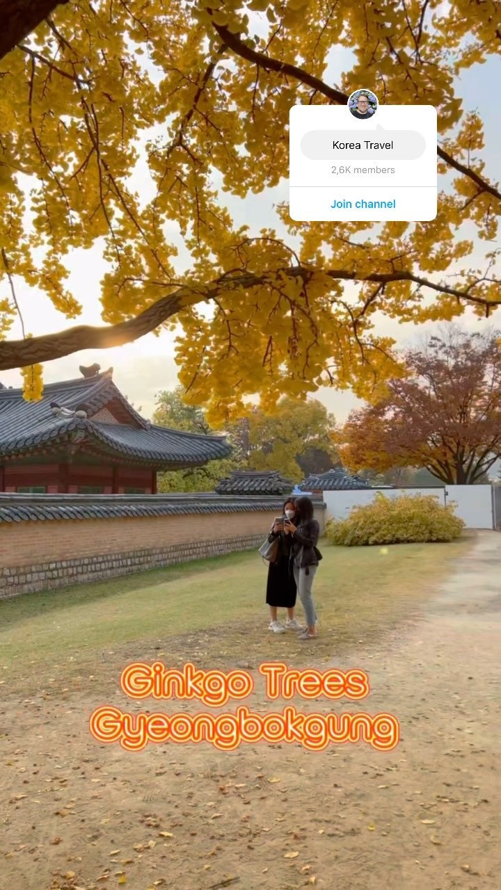 https://d2zmqyh8caa94h.cloudfront.net/creator_social_media_contents/instagram/reels/Cy56U-KxumO/Cy56U-KxumO.mp4