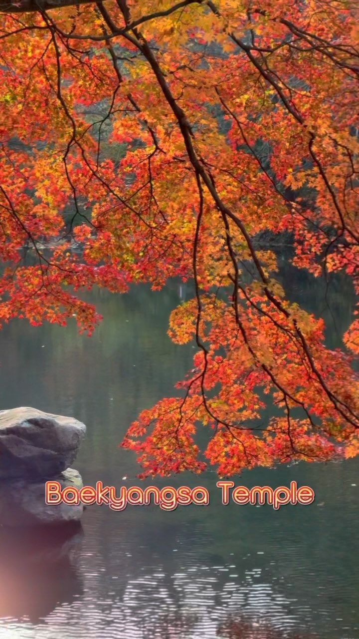 https://d2zmqyh8caa94h.cloudfront.net/creator_social_media_contents/instagram/reels/CygYUtct5Yj/CygYUtct5Yj.mp4