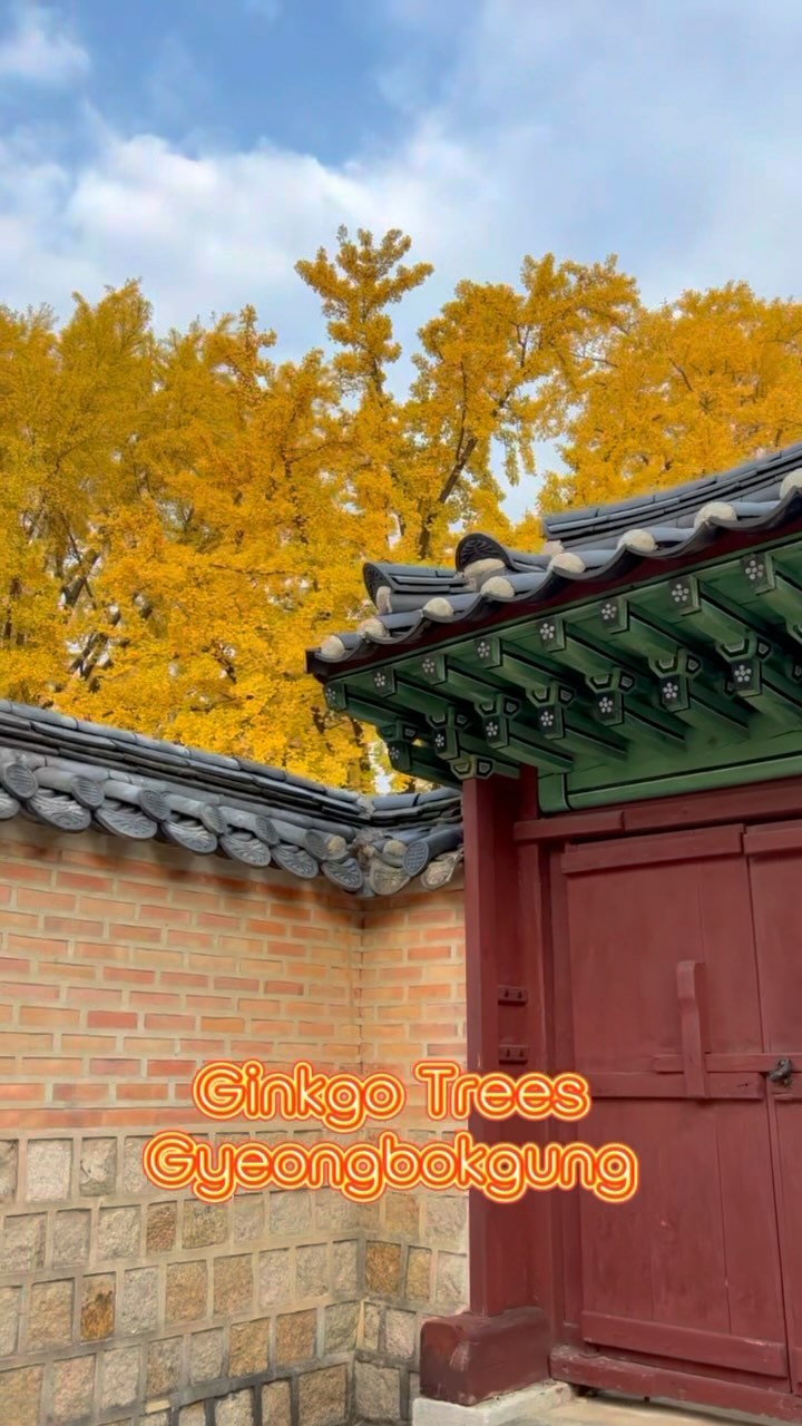https://d2zmqyh8caa94h.cloudfront.net/creator_social_media_contents/instagram/reels/Cyn9_xxLwqq/Cyn9_xxLwqq.mp4