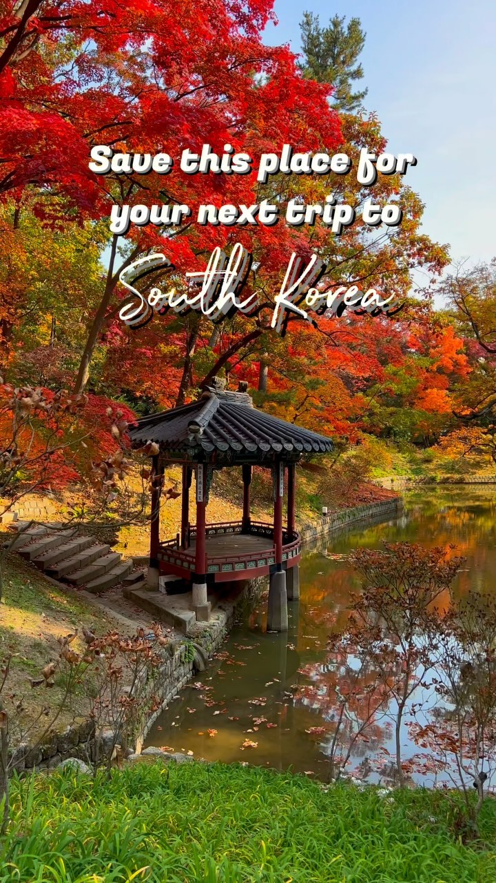 https://d2zmqyh8caa94h.cloudfront.net/creator_social_media_contents/instagram/reels/CyyOBs3roJq/CyyOBs3roJq.mp4