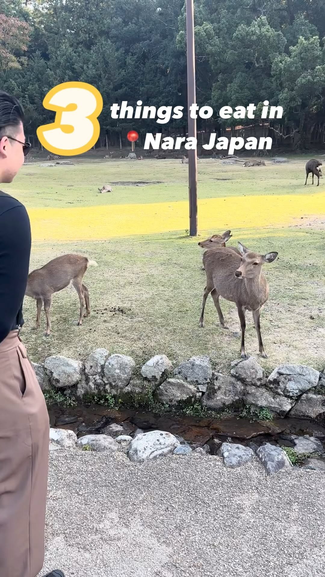 5 Places in Nara