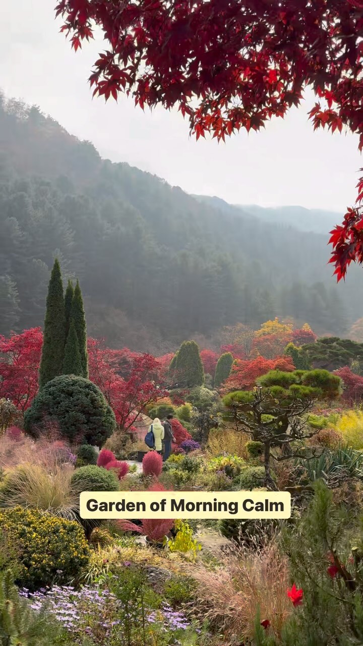 https://d2zmqyh8caa94h.cloudfront.net/creator_social_media_contents/instagram/reels/CzDwVXApIDx/CzDwVXApIDx.mp4