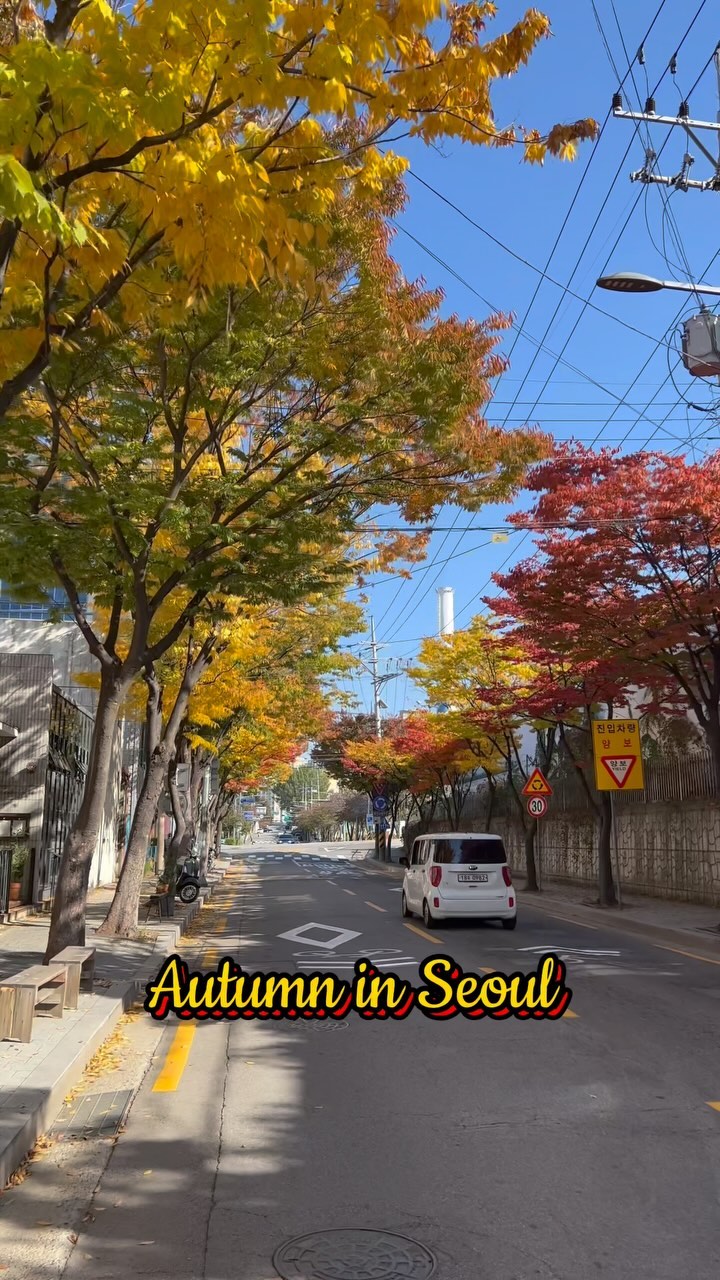 https://d2zmqyh8caa94h.cloudfront.net/creator_social_media_contents/instagram/reels/CzOETYpp4zF/CzOETYpp4zF.mp4