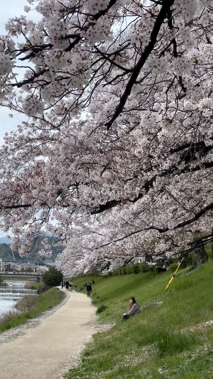https://d2zmqyh8caa94h.cloudfront.net/creator_social_media_contents/instagram/reels/DA0S71uvexF/DA0S71uvexF.mp4