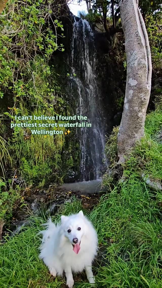 https://d2zmqyh8caa94h.cloudfront.net/creator_social_media_contents/instagram/reels/DADgMYdSk9_/DADgMYdSk9_.mp4