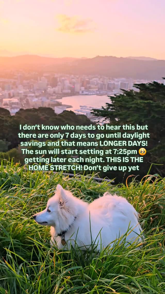 https://d2zmqyh8caa94h.cloudfront.net/creator_social_media_contents/instagram/reels/DANMy98S8ER/DANMy98S8ER.mp4