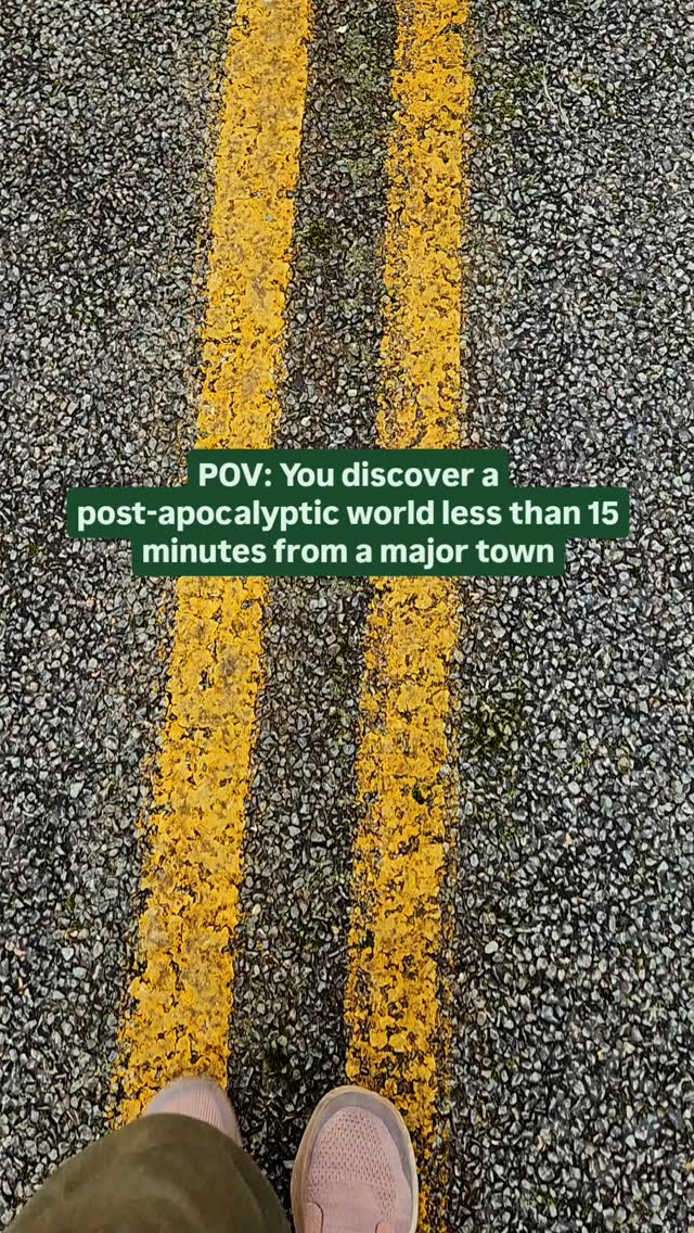https://d2zmqyh8caa94h.cloudfront.net/creator_social_media_contents/instagram/reels/DAesmuNtki0/DAesmuNtki0.mp4