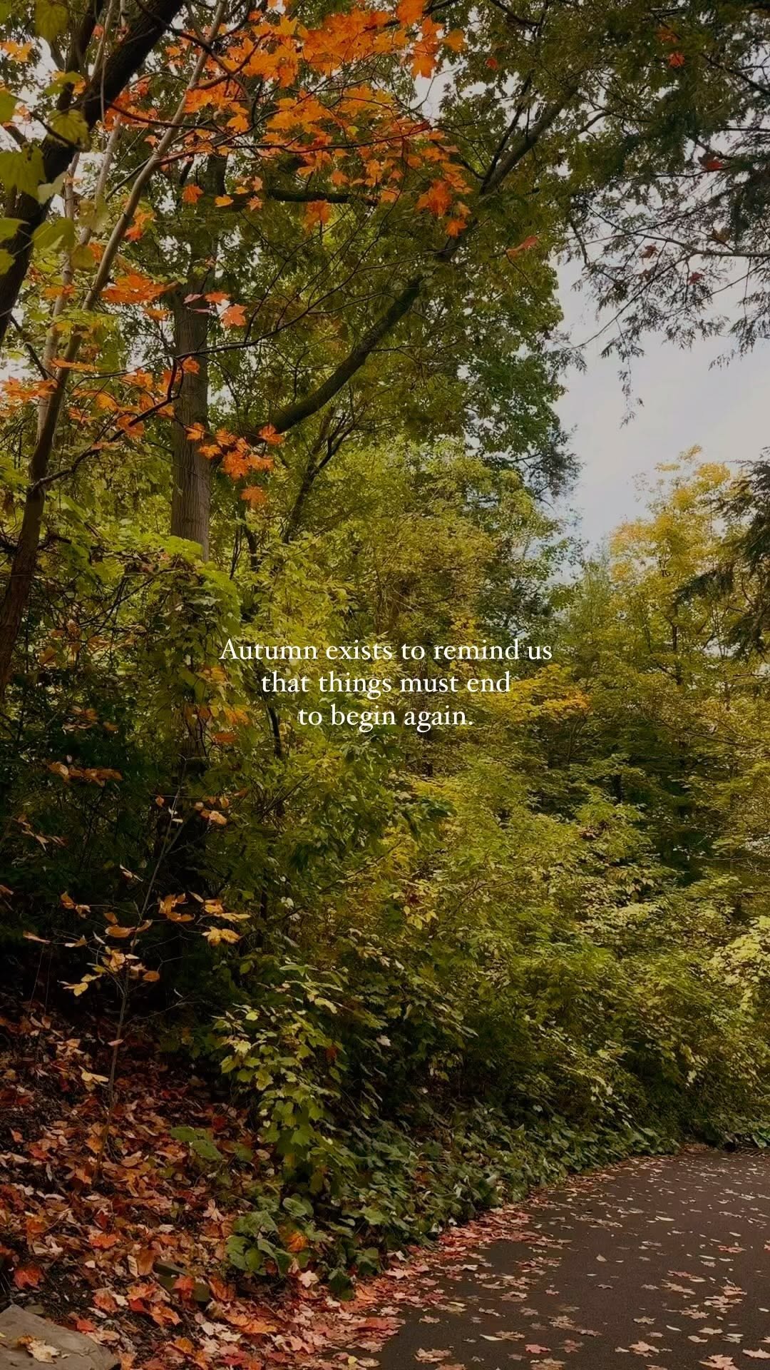 https://d2zmqyh8caa94h.cloudfront.net/creator_social_media_contents/instagram/reels/DAjzkftMEfs/DAjzkftMEfs.mp4