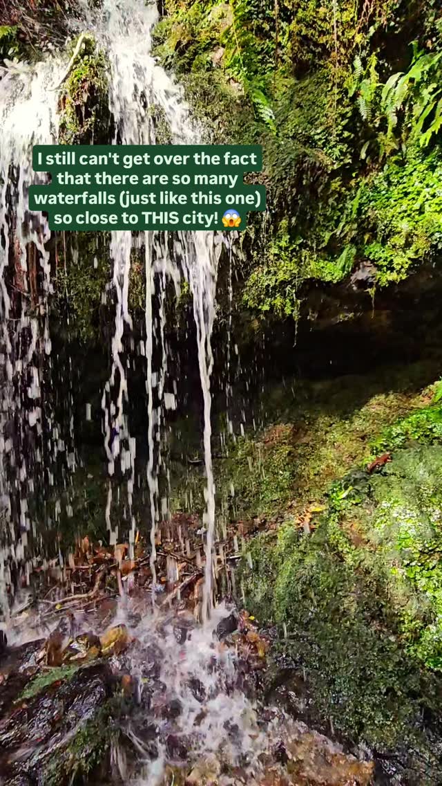 https://d2zmqyh8caa94h.cloudfront.net/creator_social_media_contents/instagram/reels/DAnIN_lyuhl/DAnIN_lyuhl.mp4