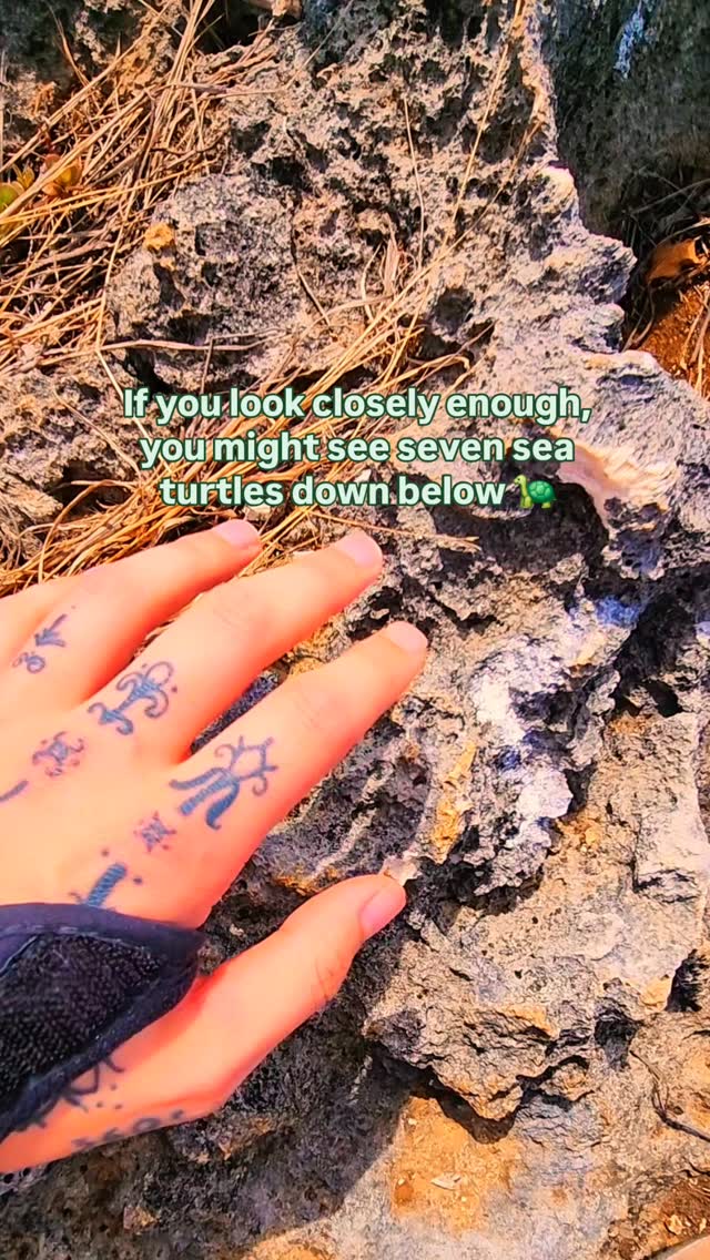 https://d2zmqyh8caa94h.cloudfront.net/creator_social_media_contents/instagram/reels/DBBBJlipBag/DBBBJlipBag.mp4