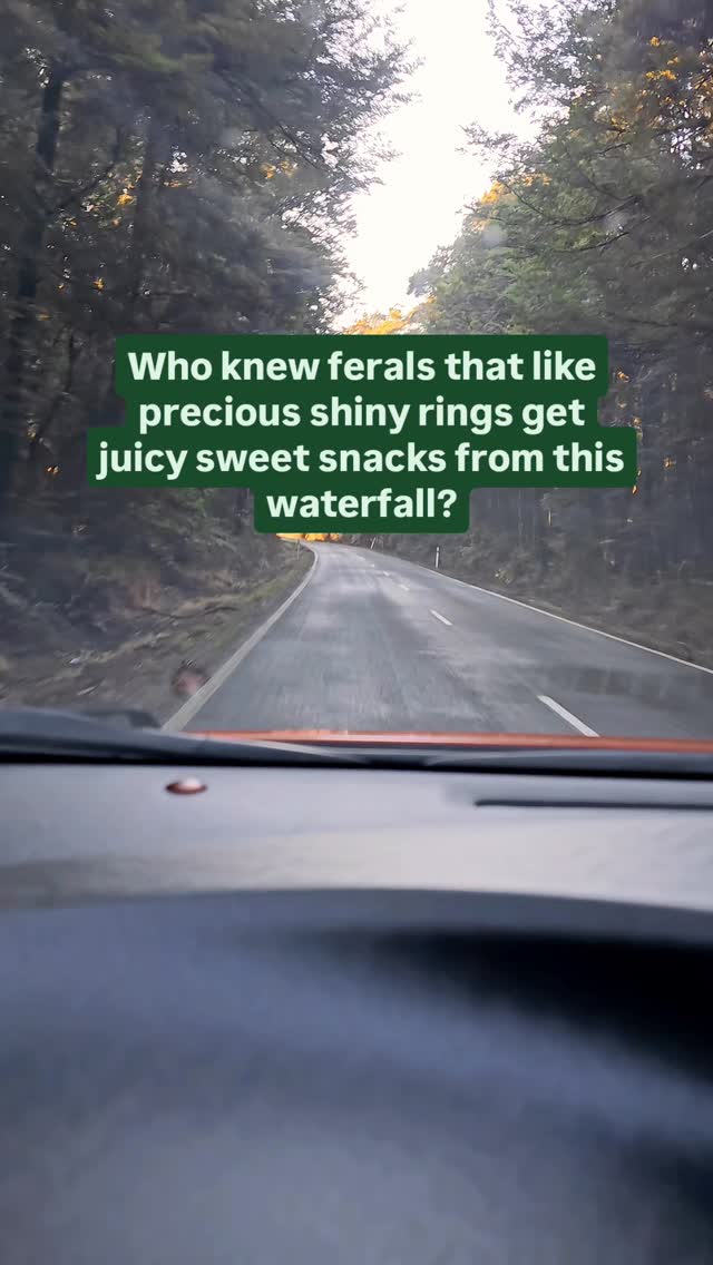 https://d2zmqyh8caa94h.cloudfront.net/creator_social_media_contents/instagram/reels/DBLEWHlyp_e/DBLEWHlyp_e.mp4