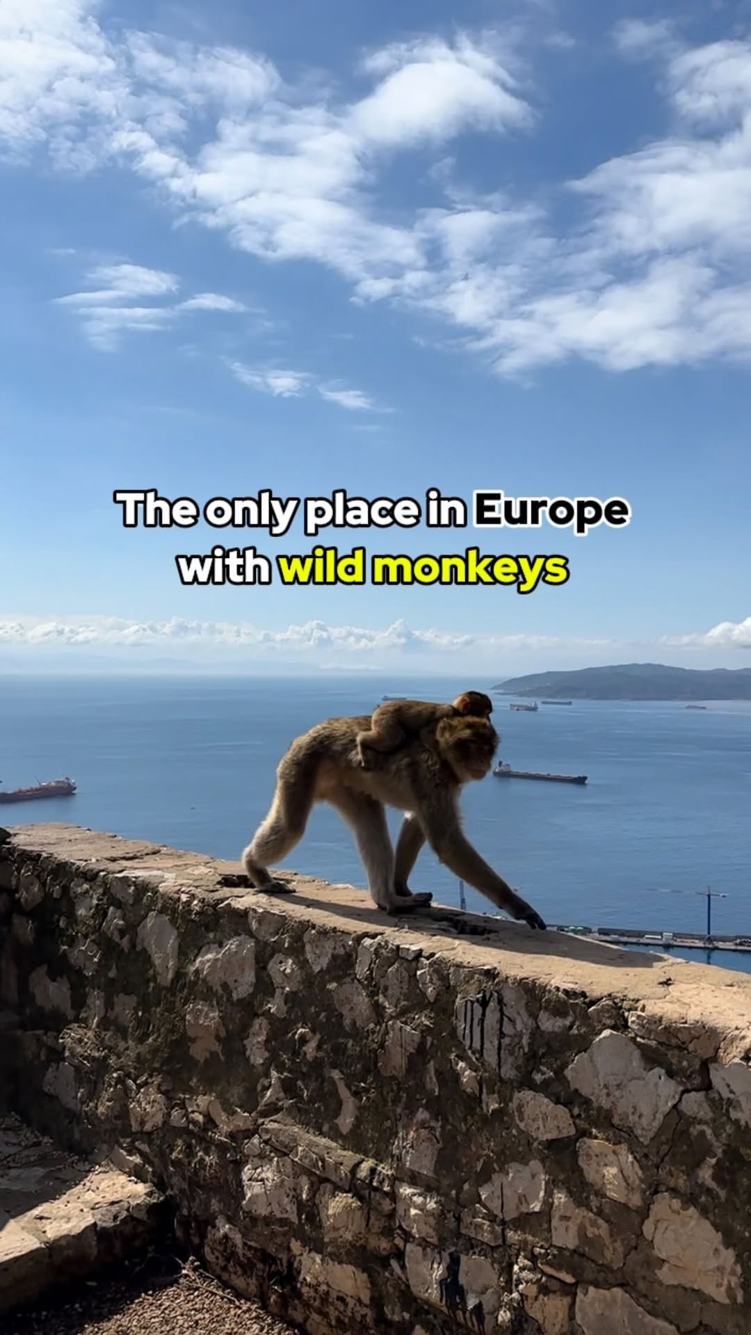 https://d2zmqyh8caa94h.cloudfront.net/creator_social_media_contents/instagram/reels/DBPOyk-oCy_/DBPOyk-oCy_.mp4