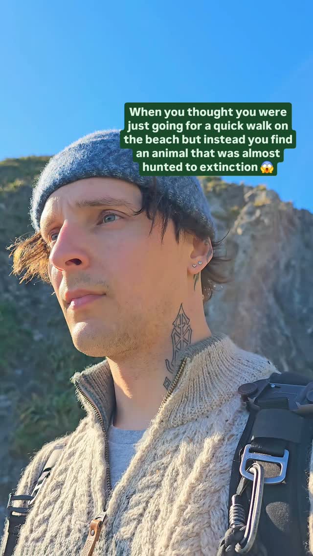 https://d2zmqyh8caa94h.cloudfront.net/creator_social_media_contents/instagram/reels/DBQhpR1JdOy/DBQhpR1JdOy.mp4