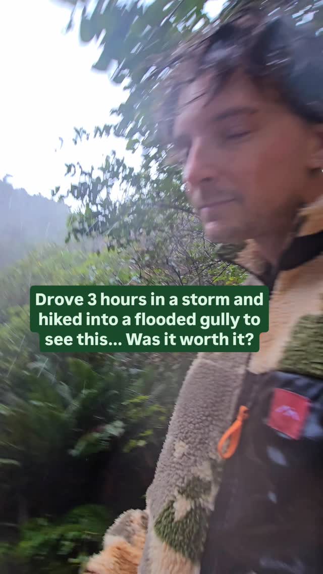 https://d2zmqyh8caa94h.cloudfront.net/creator_social_media_contents/instagram/reels/DBdHqX2u-fs/DBdHqX2u-fs.mp4