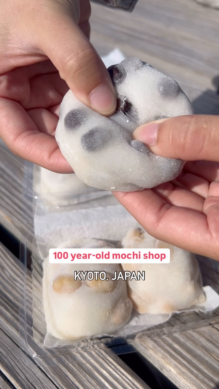 https://d2zmqyh8caa94h.cloudfront.net/creator_social_media_contents/instagram/reels/DBfbhCbvfKD/DBfbhCbvfKD.mp4
