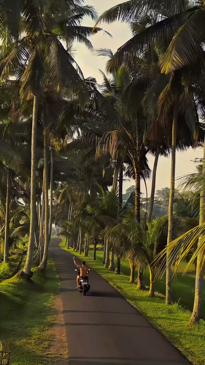 https://d2zmqyh8caa94h.cloudfront.net/creator_social_media_contents/instagram/reels/DBlrCmyPxXh/DBlrCmyPxXh.mp4