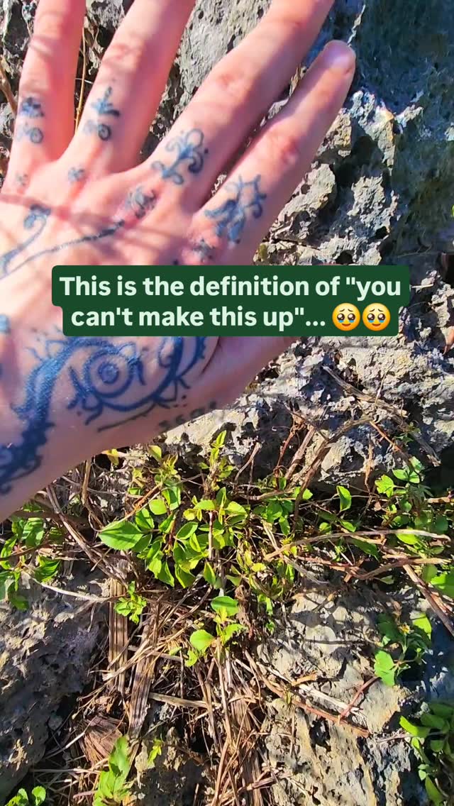https://d2zmqyh8caa94h.cloudfront.net/creator_social_media_contents/instagram/reels/DBtG5b0J6H5/DBtG5b0J6H5.mp4