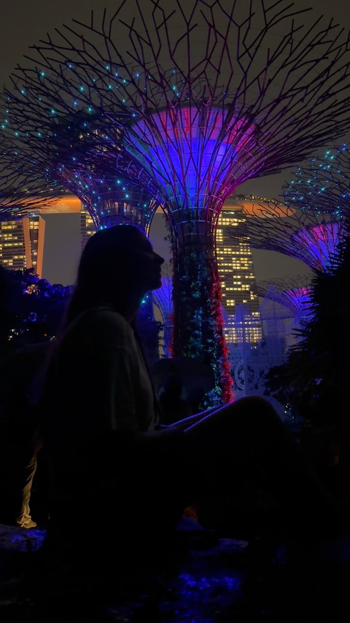 https://d2zmqyh8caa94h.cloudfront.net/creator_social_media_contents/instagram/reels/DC-DniRooNo/DC-DniRooNo.mp4
