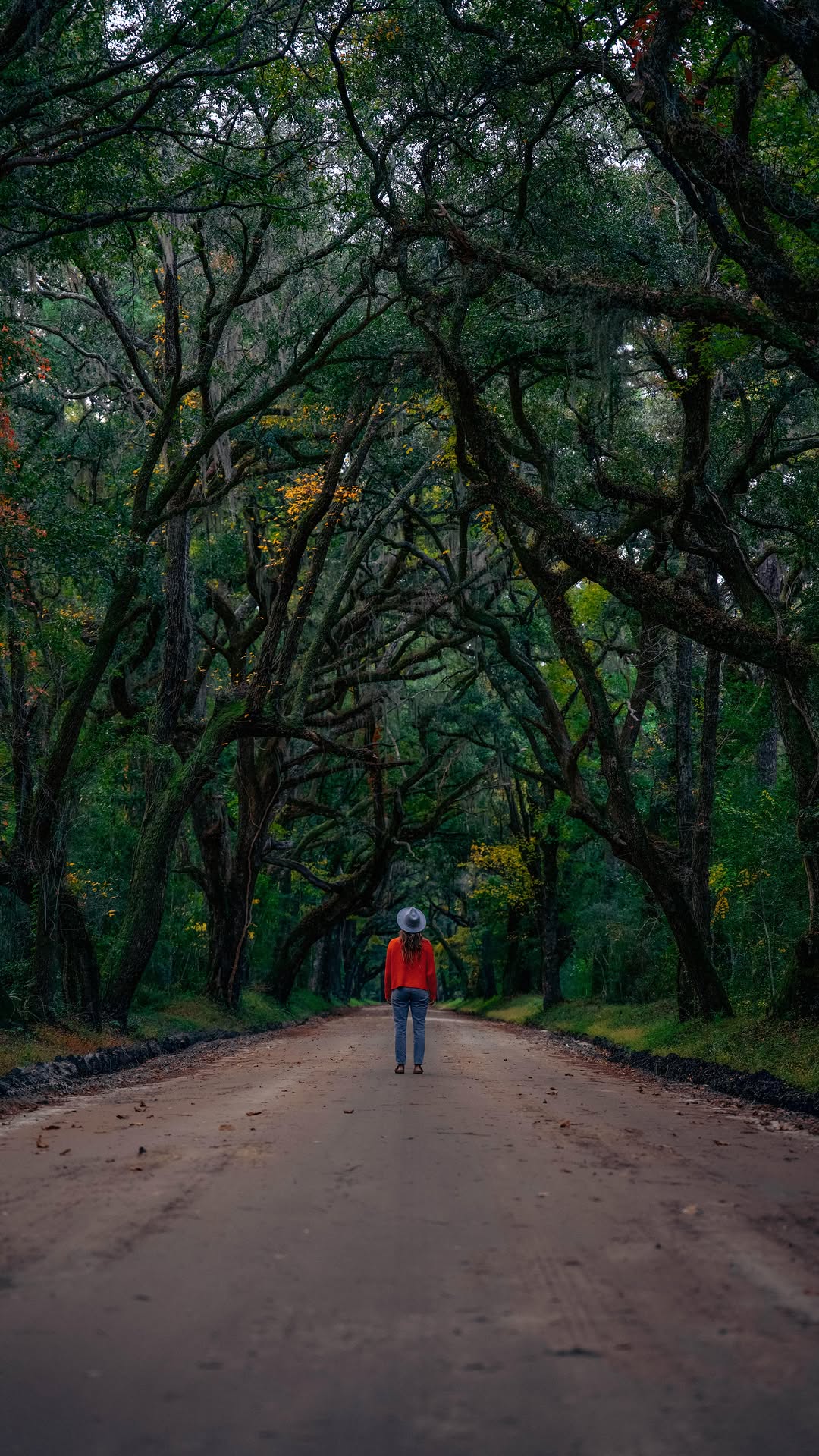 https://d2zmqyh8caa94h.cloudfront.net/creator_social_media_contents/instagram/reels/DCf_N7Hx7RN/DCf_N7Hx7RN.mp4