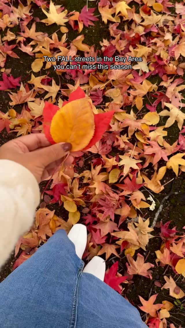 https://d2zmqyh8caa94h.cloudfront.net/creator_social_media_contents/instagram/reels/DCndsmFR3h7/DCndsmFR3h7.mp4