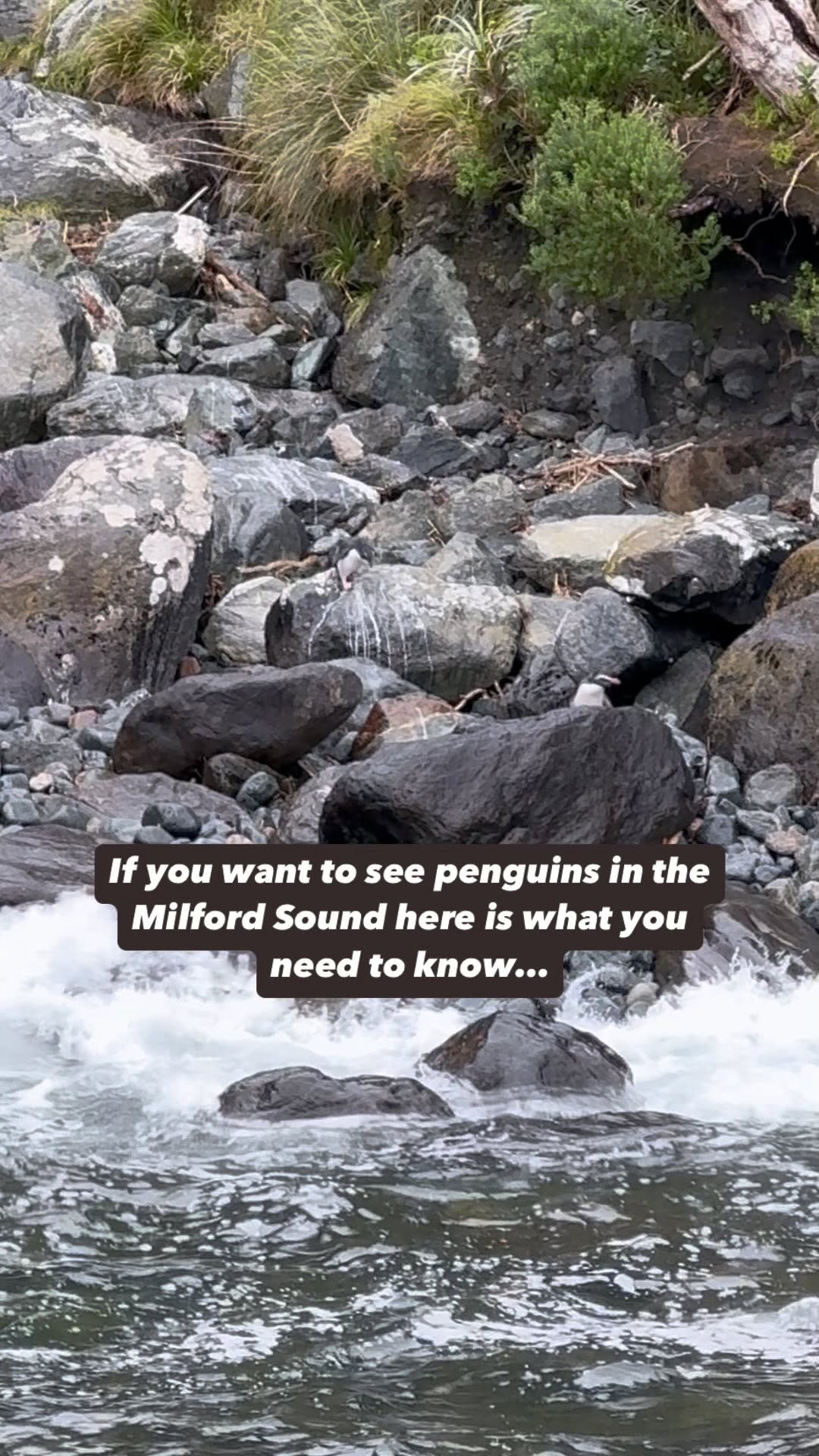 https://d2zmqyh8caa94h.cloudfront.net/creator_social_media_contents/instagram/reels/DCwi7cQPBrz/DCwi7cQPBrz.mp4