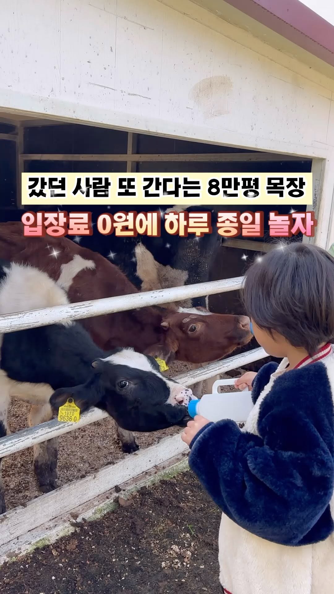 Family Farm Fun With Animals and Playgrounds