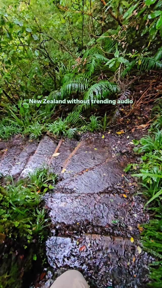 https://d2zmqyh8caa94h.cloudfront.net/creator_social_media_contents/instagram/reels/DD22bQLT7lO/DD22bQLT7lO.mp4