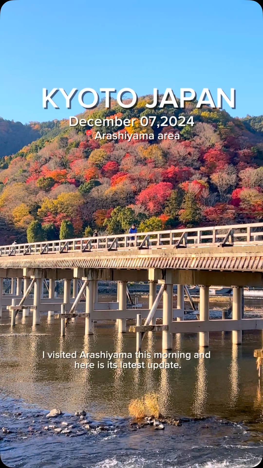 Arashiyama Kyoto's Bamboo Forest and Gardens