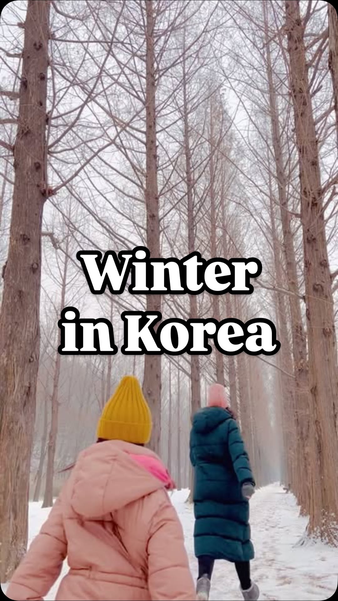 https://d2zmqyh8caa94h.cloudfront.net/creator_social_media_contents/instagram/reels/DDdNrg8zE0M/DDdNrg8zE0M.mp4
