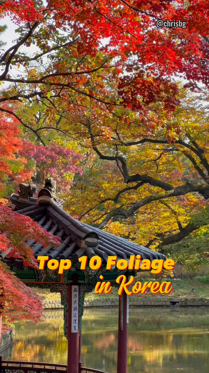 https://d2zmqyh8caa94h.cloudfront.net/creator_social_media_contents/instagram/reels/DDwxz1Jv34j/DDwxz1Jv34j.mp4