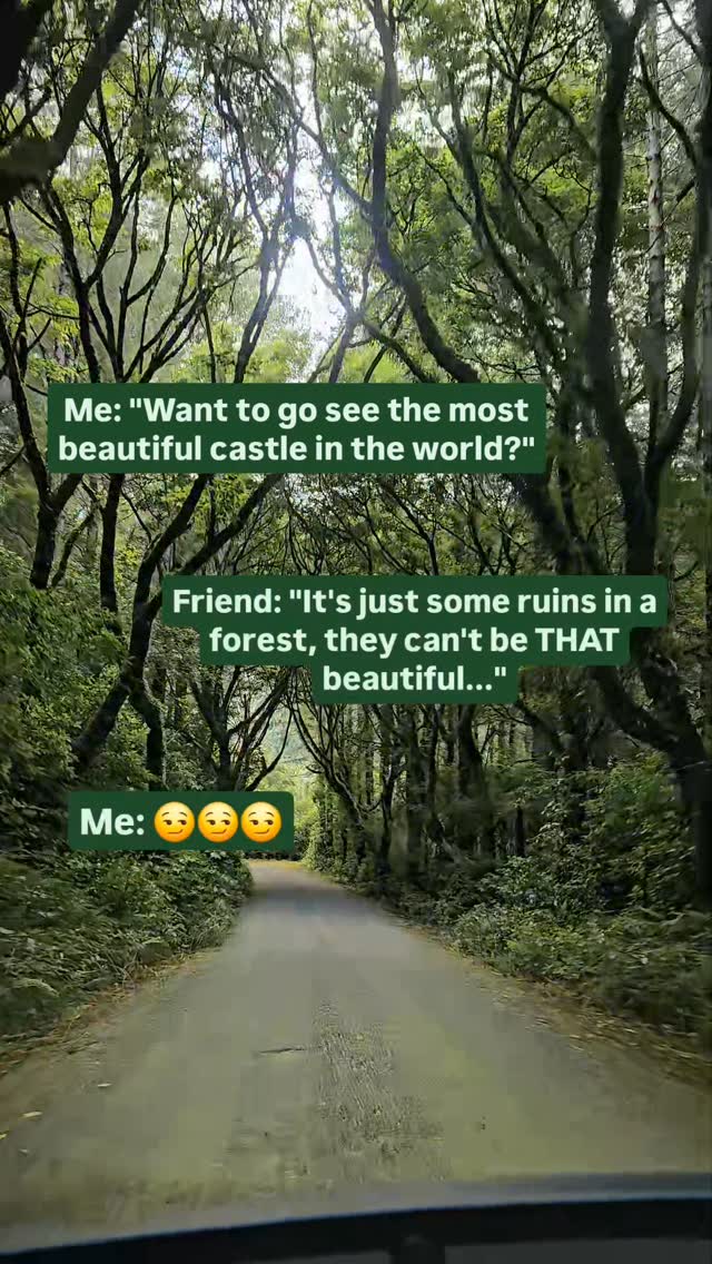 https://d2zmqyh8caa94h.cloudfront.net/creator_social_media_contents/instagram/reels/DE1aM3WsnIs/DE1aM3WsnIs.mp4