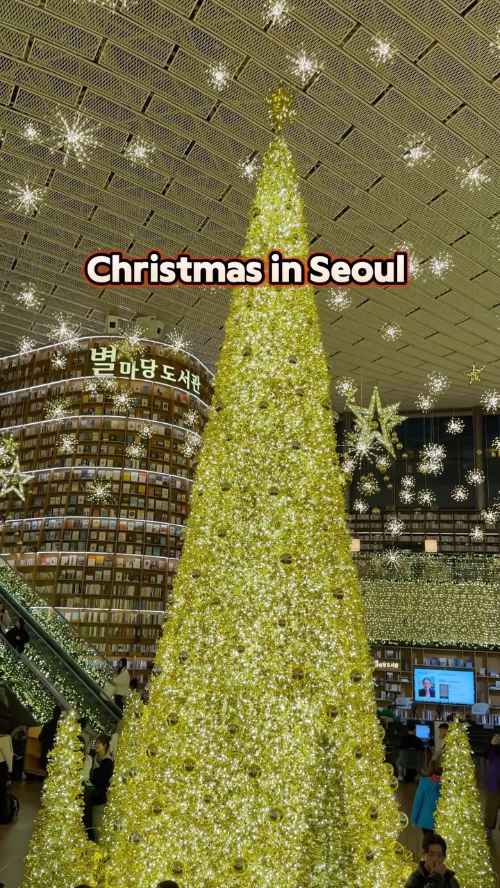 https://d2zmqyh8caa94h.cloudfront.net/creator_social_media_contents/instagram/reels/DEAWtxlz_8T/DEAWtxlz_8T.mp4
