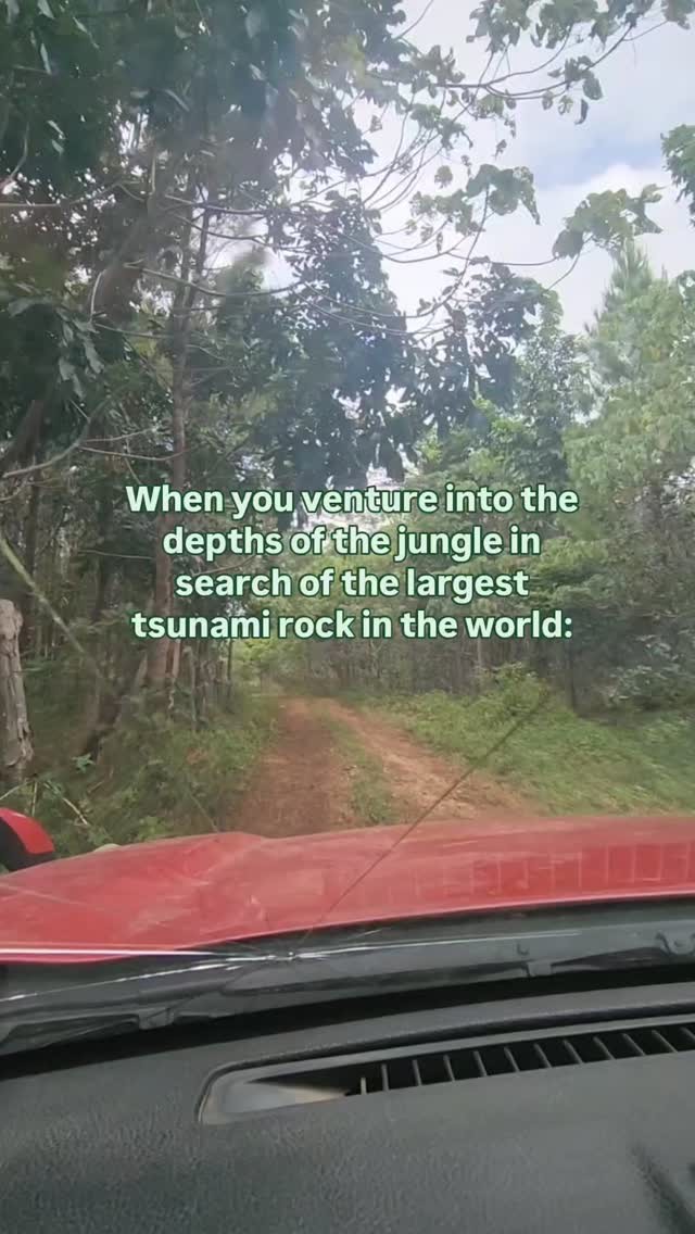https://d2zmqyh8caa94h.cloudfront.net/creator_social_media_contents/instagram/reels/DEChcm5SYrN/DEChcm5SYrN.mp4