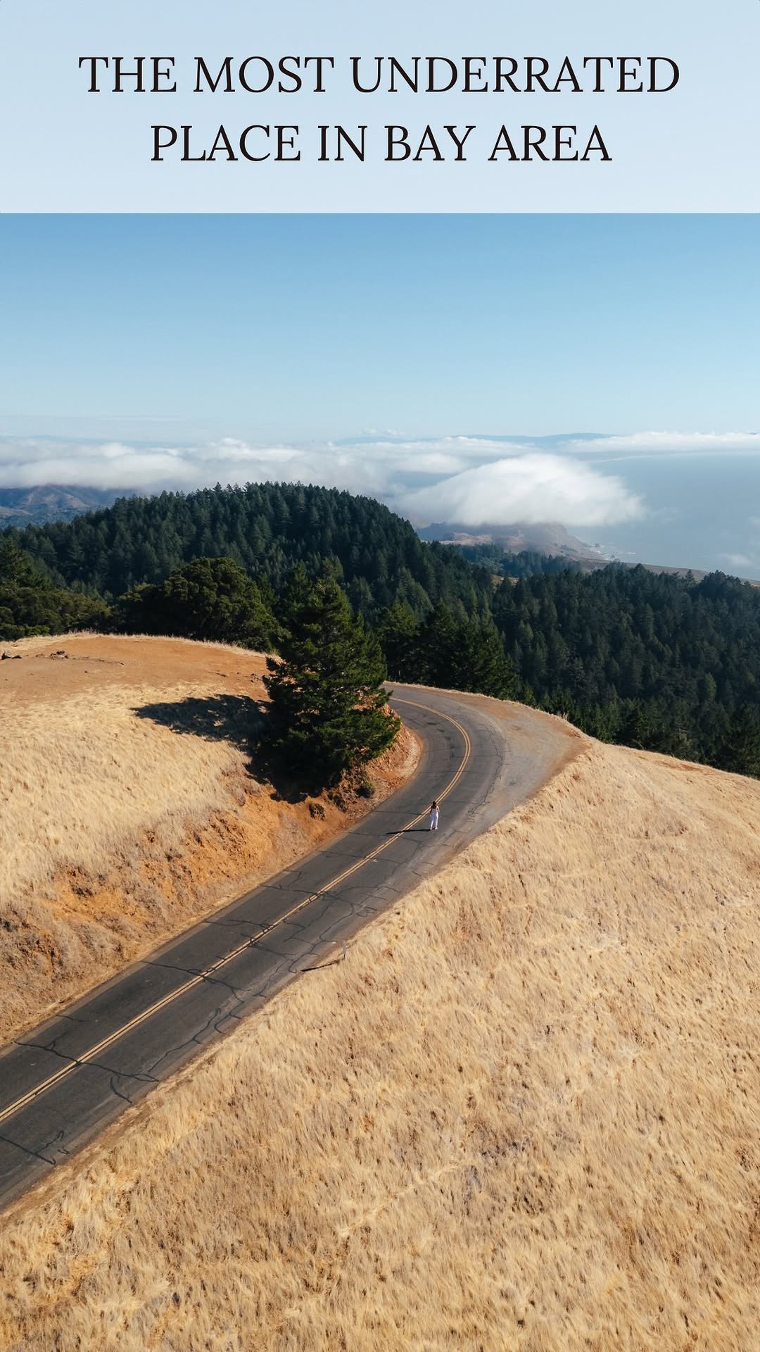Hiking Trails and Redwood Groves at Mount Tamalpais