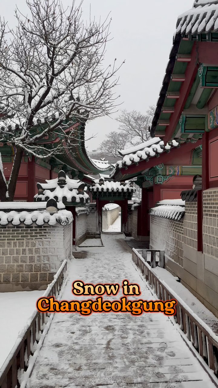 https://d2zmqyh8caa94h.cloudfront.net/creator_social_media_contents/instagram/reels/DEoZZz_zFlR/DEoZZz_zFlR.mp4