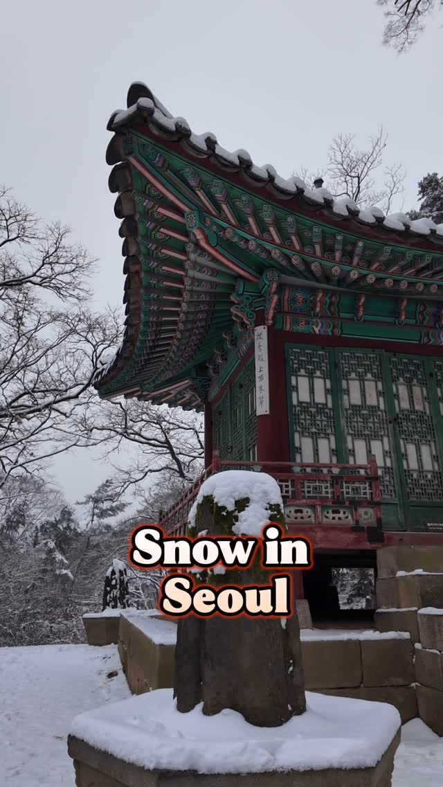 https://d2zmqyh8caa94h.cloudfront.net/creator_social_media_contents/instagram/reels/DF-ZP8Vzm1B/DF-ZP8Vzm1B.mp4