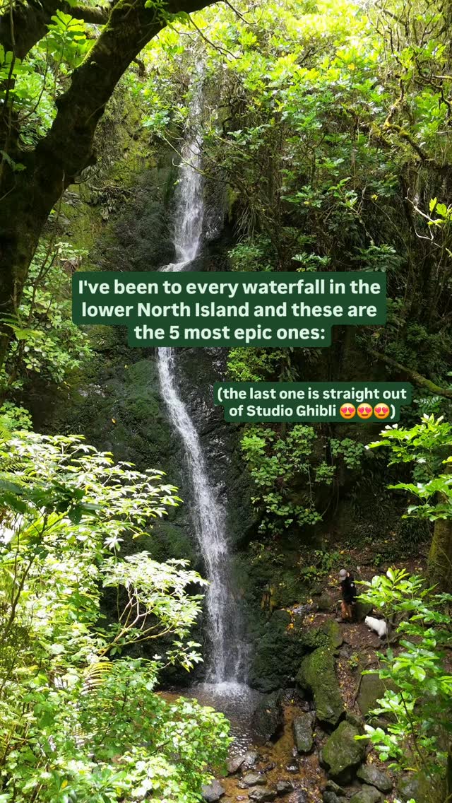 https://d2zmqyh8caa94h.cloudfront.net/creator_social_media_contents/instagram/reels/DFrwyHNviqP/DFrwyHNviqP.mp4