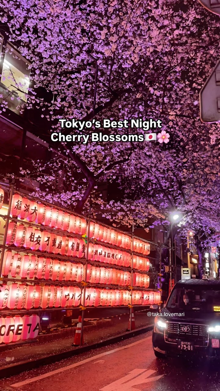 Tokyo's Cherry Blossom Viewing Hotspots