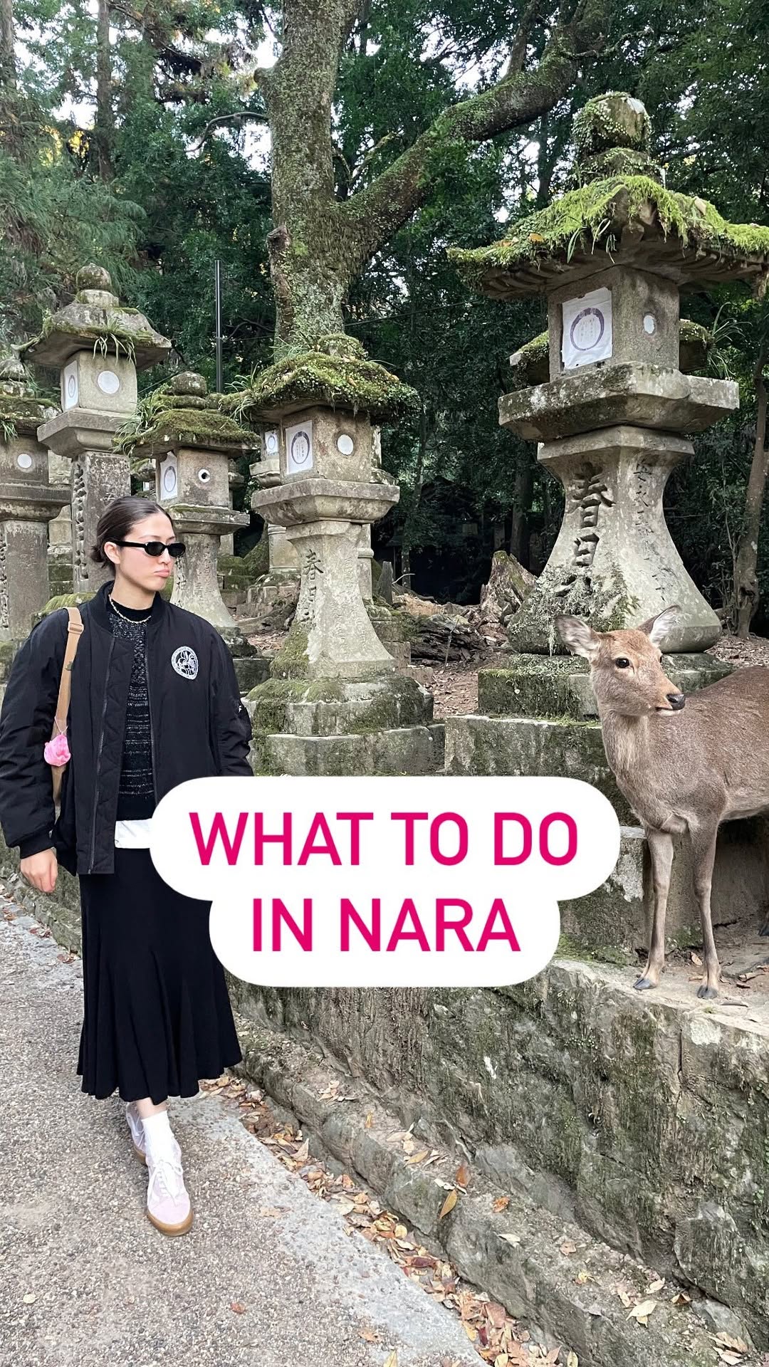8 Attractions in Nara