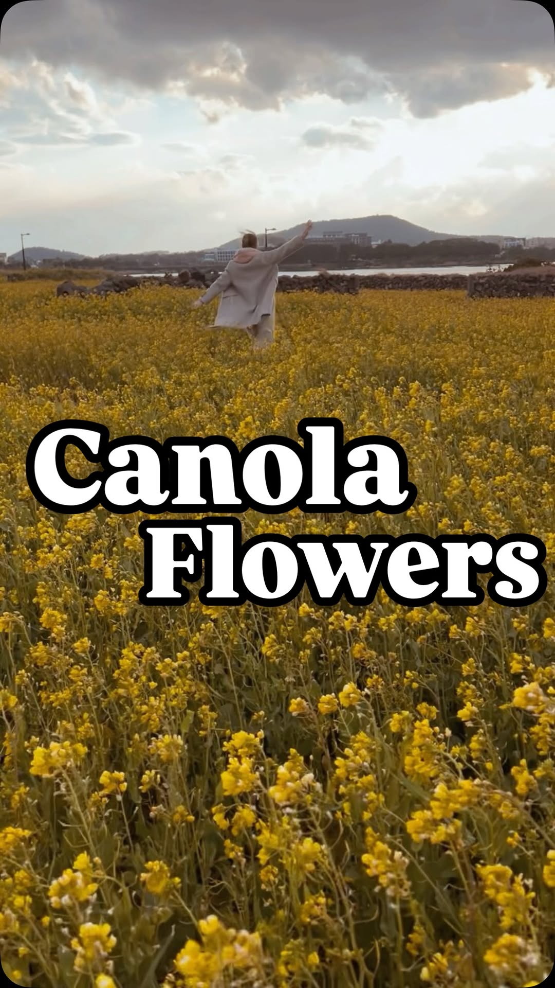 https://d2zmqyh8caa94h.cloudfront.net/creator_social_media_contents/instagram/reels/DGt2FgtSThF/DGt2FgtSThF.mp4