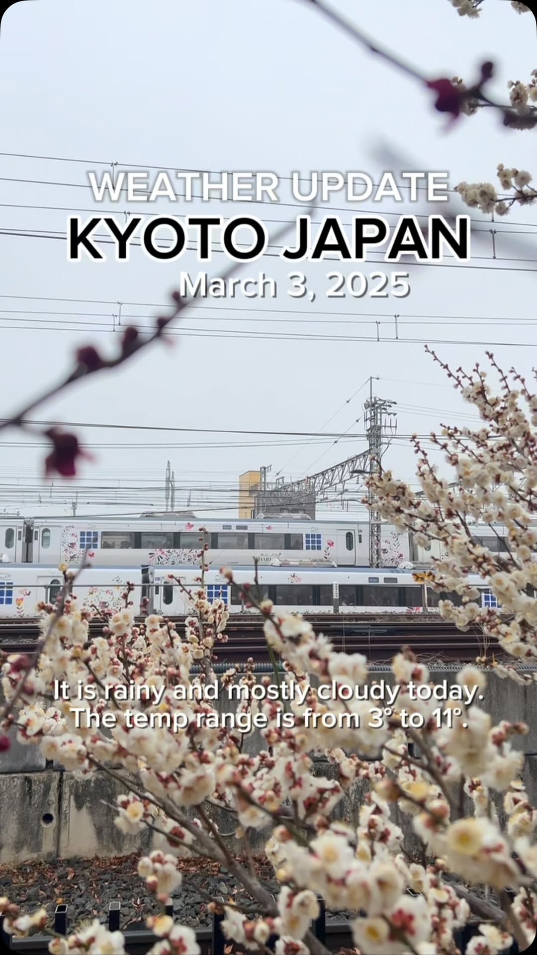 Kyoto's Iconic Landmarks And Streets