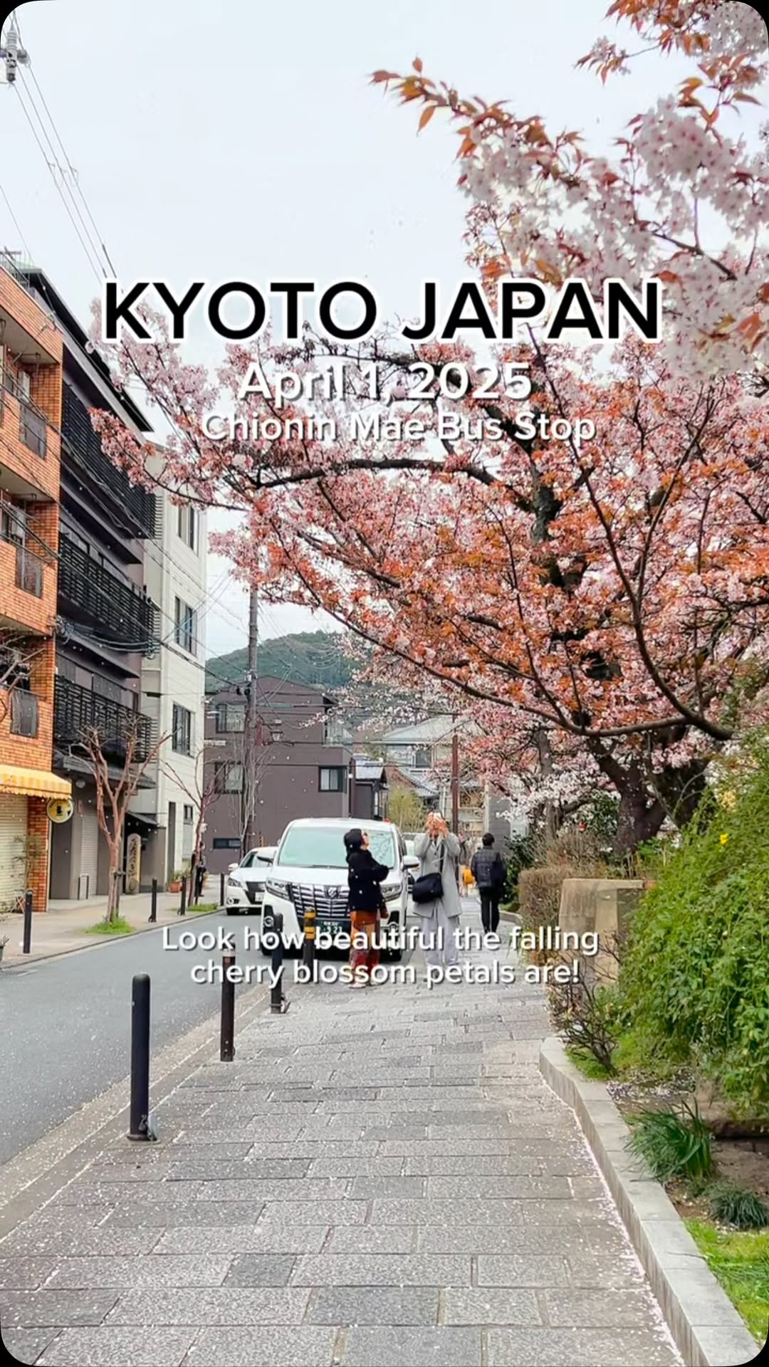 Chionin Temple Area Attractions