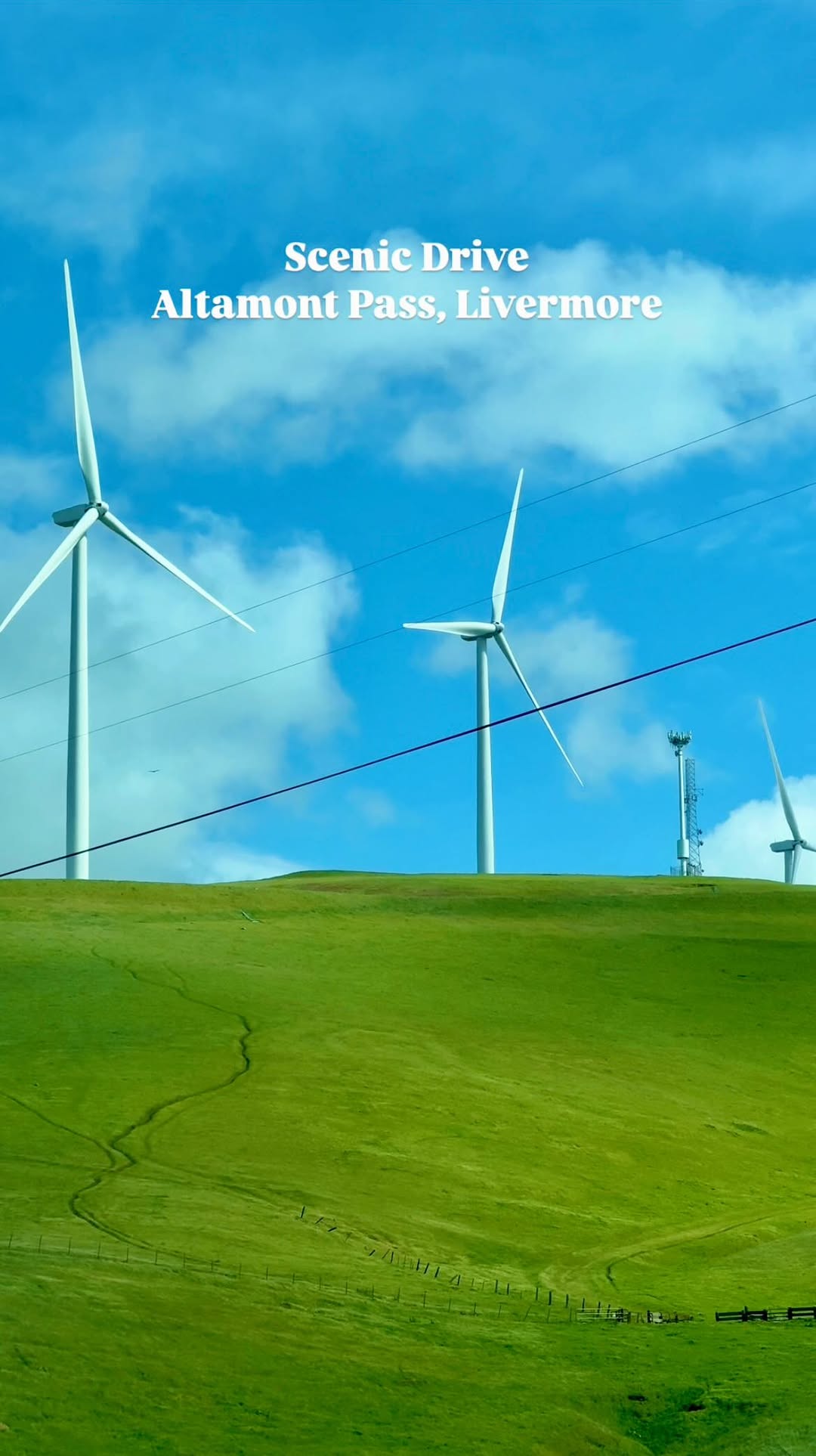 https://d2zmqyh8caa94h.cloudfront.net/creator_social_media_contents/instagram/reels/DH_T5lypiqt/DH_T5lypiqt.mp4