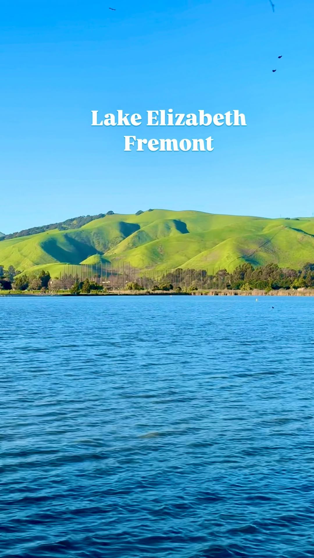 https://d2zmqyh8caa94h.cloudfront.net/creator_social_media_contents/instagram/reels/DHxVxKfRgKg/DHxVxKfRgKg.mp4
