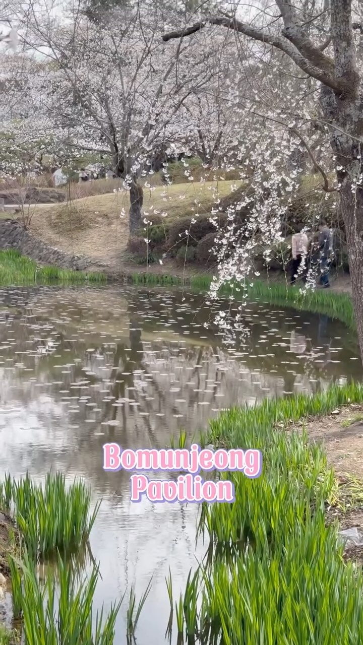 https://d2zmqyh8caa94h.cloudfront.net/creator_social_media_contents/instagram/reels/DIL6NypJigN/DIL6NypJigN.mp4